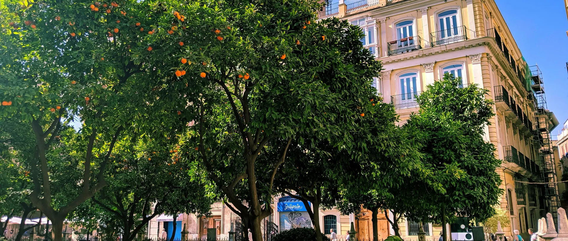 Torrente: A hidden gem near Valencia